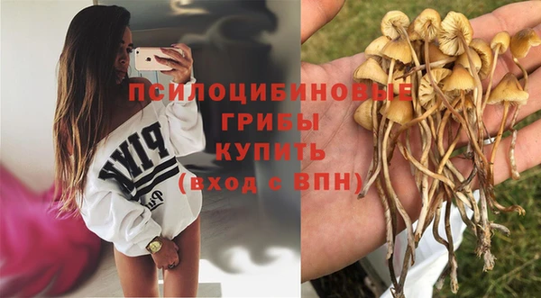 экстази Алексин