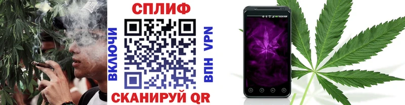 Каннабис OG Kush Данилов